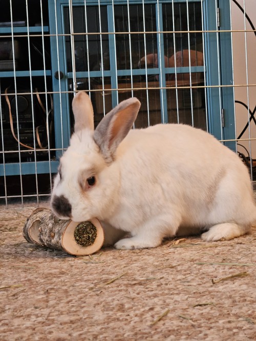 This Year's Holiday Gifts Arrived Unwrapped!