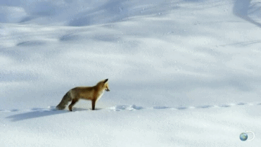 tumblr_mx6wzaYJ5w1s4umuxo4_400.gifv