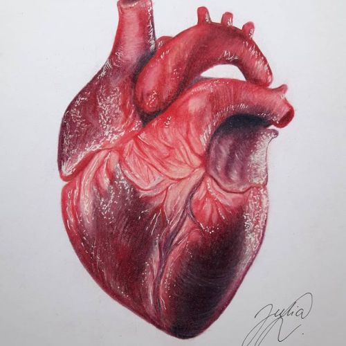 Heart Drawing Explore Tumblr Posts And Blogs Tumgir