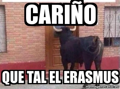 puertaycalle:  Memes de T_D_S P_T_S made in forocoches El hilo 