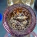 shelovesplants:Bowl of purple punch 💜👊