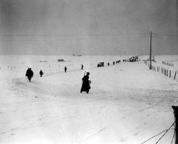 operationbarbarossa:  Paratroopers of the