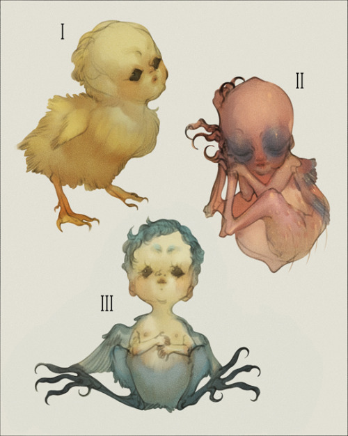 isobeljkelly:[CLOSED] Adoptables - Infant Harpies (Auction)Please head over here to bid ^w^~~ Thank 