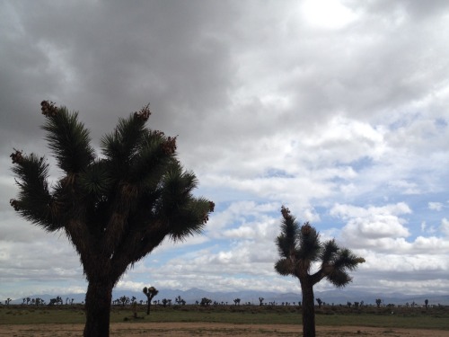 deeperthanadream:  Storm clouds in the desert. porn pictures