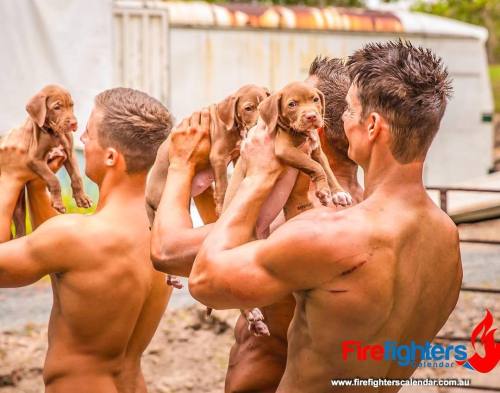 mens-best-friend:www.firefighterscalendar.com.au