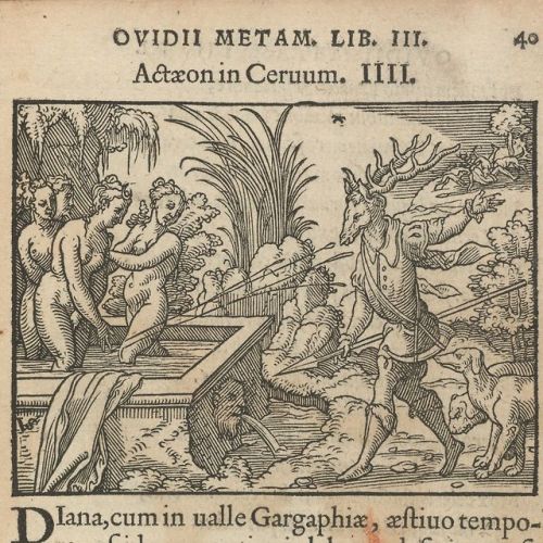 Ovid. Metamorphoses, 1563.*EC.H2623.Zz563o Houghton Library, Harvard University