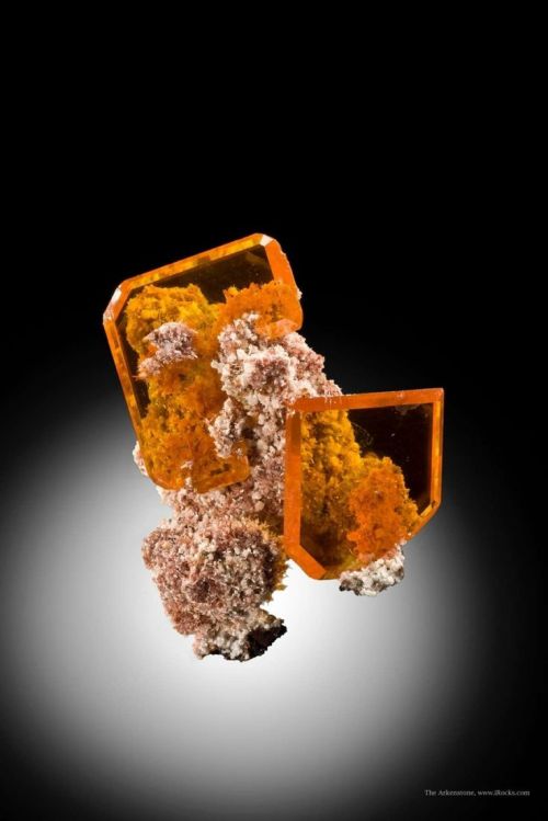 mineralists:Tabular Wulfenite on matrix Rowley Mine, Arizona