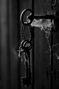 &ldquo;A very little key will open a very heavy door.&rdquo;  ~ Charles Dickens, Hunted Down