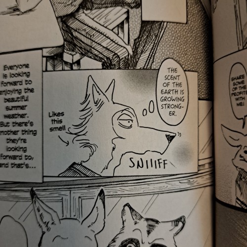 Documenting My Favourite Wolf Autism Legoshi Moments