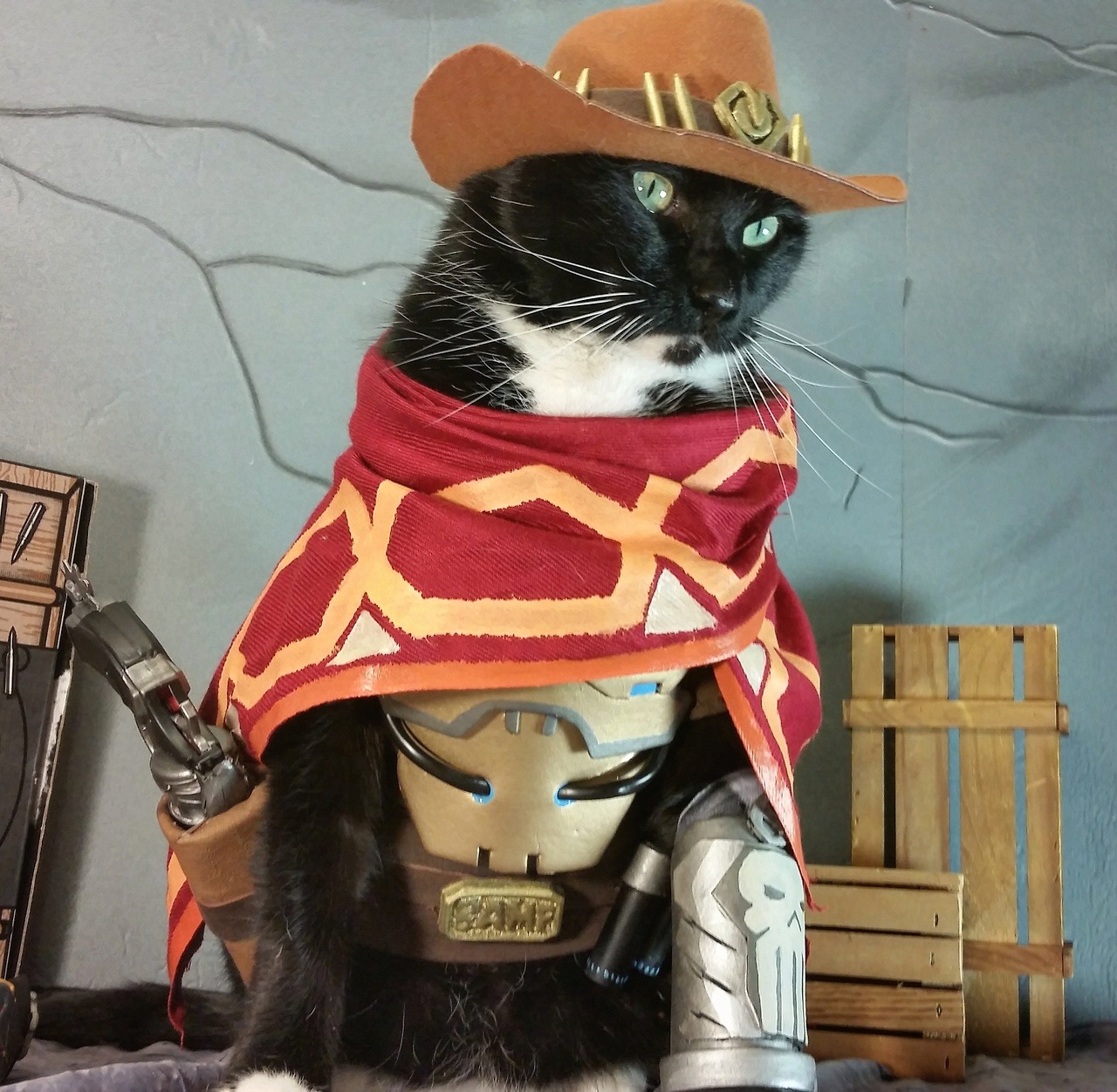 cat-cosplay:  After hours of attempts to use the new emote I’ve come to finally