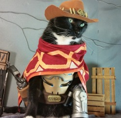 cat-cosplay:  After hours of attempts to use the new emote I’ve come to finally accept the fact that…   Cats Don’t Dance.  *MeowCree*