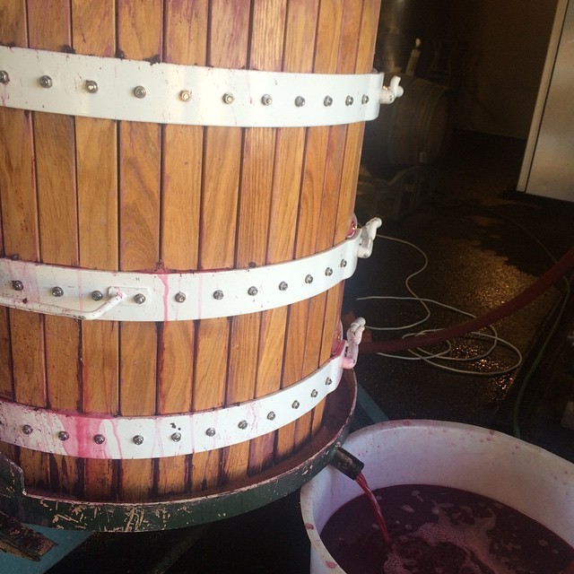 Pressing our first Home Cabernet Franc today it’s neat and lovely.