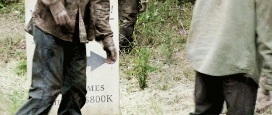 monasax:  great shots from every season (1/9)
