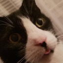 kittymom123 - uwu