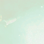 antimingyu:  seventeen mv aesthetics  