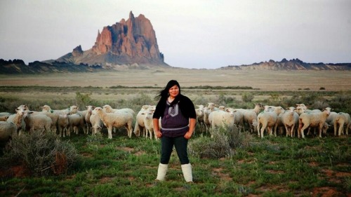 tumblingtheology: bookishboi: lastrealindians: Teen scientist harnesses sun power to help Navajo com