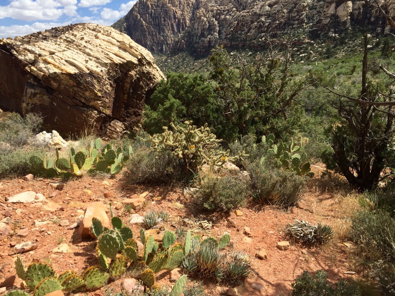 hiking red rock canyon hiking red rock canyon
