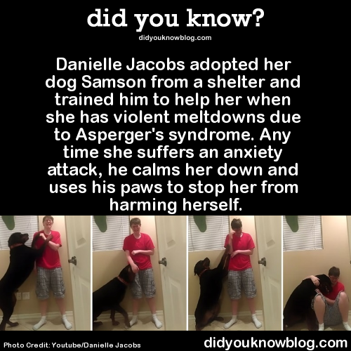 did-you-kno: Danielle posted her video to raise awareness about living with Asperger’s.Source