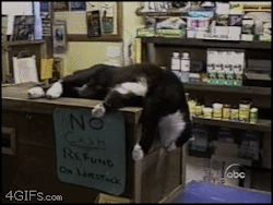 sherrylynn73:  littleredstuff:  some days you just don’t have the energy to deal with life  me most days lol 
