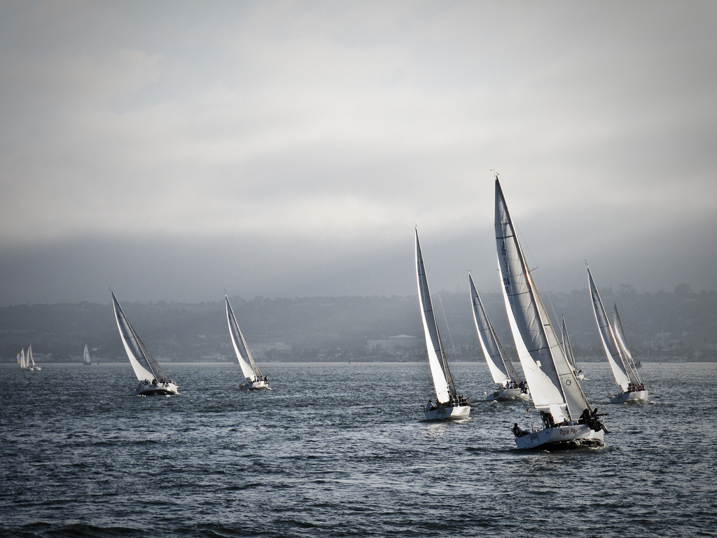 pirates-world:   The Regatta / 1bluecanoe 