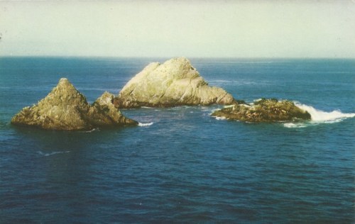 Post Cards: Seal Rocks, California.Undated, but I would guess the card dates from about 1950. In any