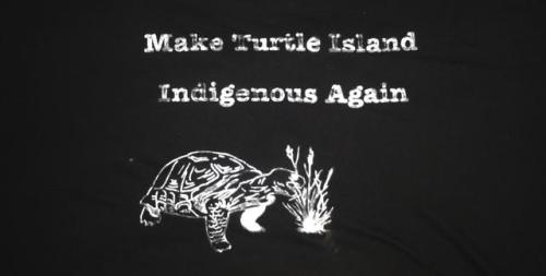 turtle island