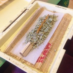 Coralreefer420:  Snake In The Grass - Oil In The Joint.