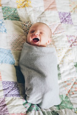 largeandlovely:  potterybarncowboy:  Aw.  jesus christ i neED A BABy