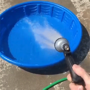 sizvideos:  Corgi Pool Party Video 