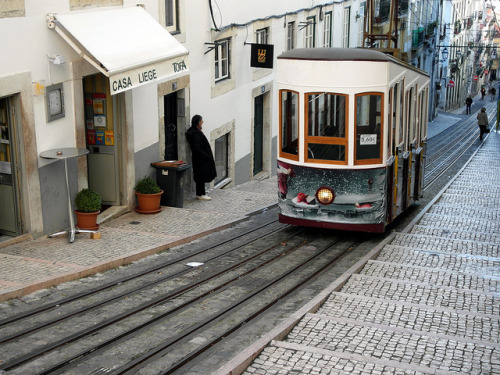 ref-lin: Lisbon, Portugal