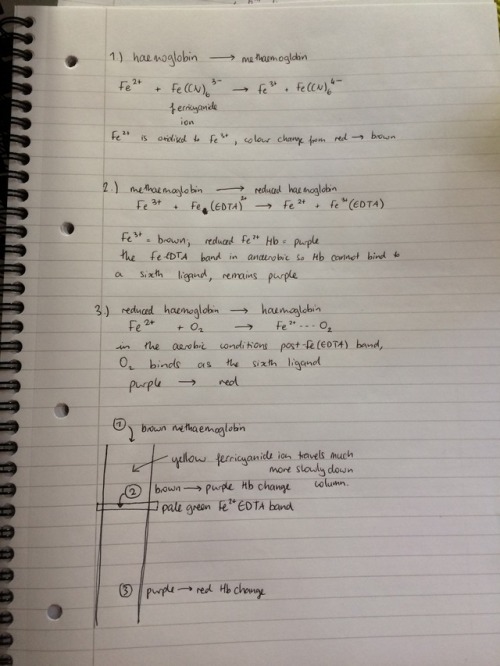 biochemistryandbeyond: Explaining the steps of a reaction within a column and the colour changes.