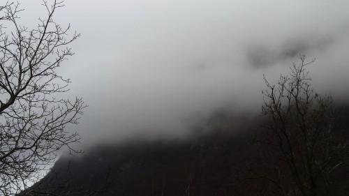 electricrain:Early morning mist in the mountains of Arogno, Switzerland@plutonians