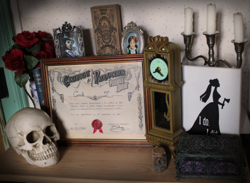 I’ve recieved my Producer Certificate for i’ve donnated to the fundraising of the Phantom Manor shor