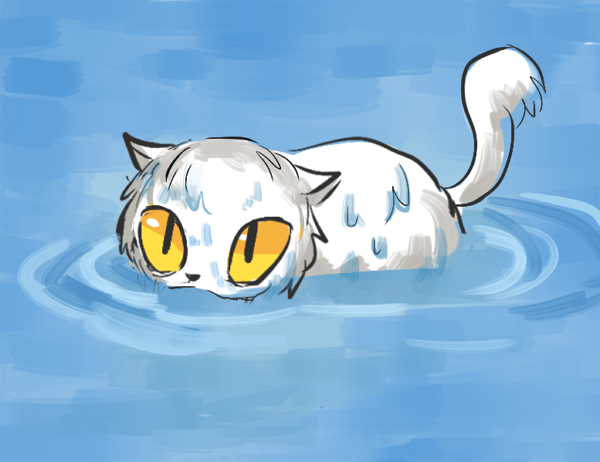 w1tchofdoom:  whitepool:  cat meows under plastic water [x]   Oh my god, he is adorable
