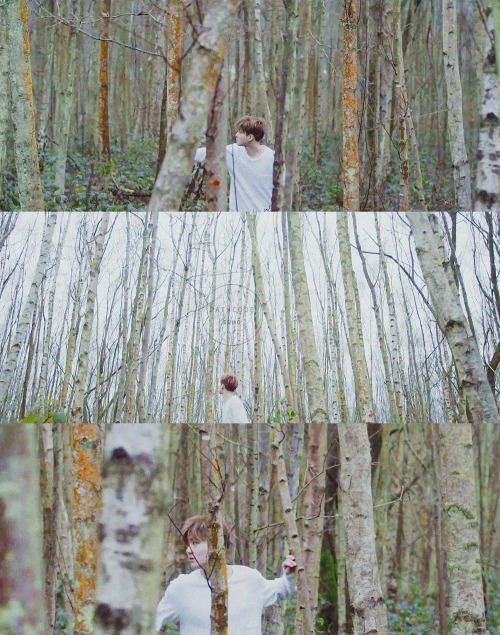 exolutely: Autumn
