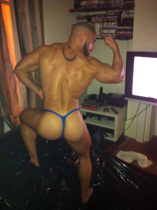 obeythesagat: