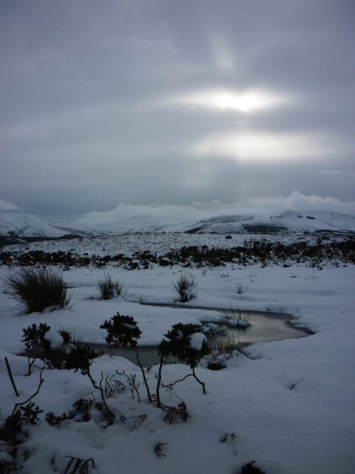 Today I went up to the Brecon Beacons and found snow. Also, a lot of low-lying cloud. These pictures