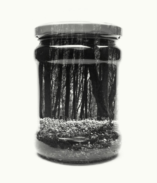  NOSTALGIC LANDSCAPES AND MEMORIES COLLECTED IN JARS BY CHRISTOFFER RELANDER 