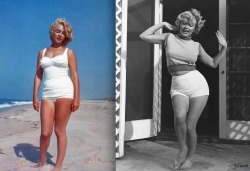 aztur:  relaxyoursenses:  ally-verde:  Marilyn Monroe was considered the sexiest woman of her time.she doesnt have the gap,you cant see her ribs,her hair doesnt come down to her ass. she’s pretty much the opposite of what everyone risks their lives