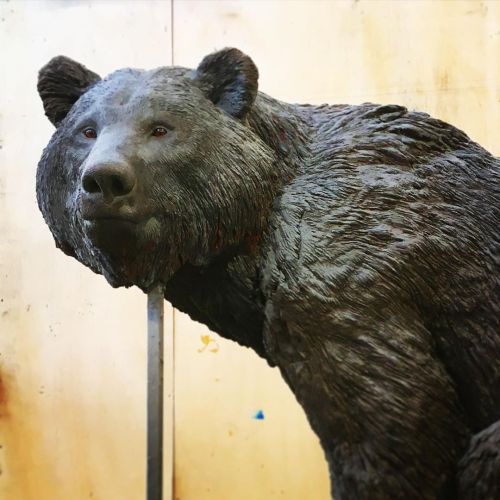 Bear #bear #baren #os #oso #orso #ursus (at Catalonia, Spain) www.instagram.com/p/CWJkPYsrMZ