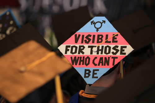twoheadedblackcat:  So this is a few weeks after the fact, but apparently my cap and I made it onto the page my school set up with all the pics from graduation which is pretty cool. Being visible for those who can’t be!