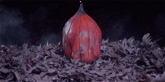 classichorrorblog:  Me at 12am on October 1st: