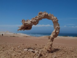 Fulgarite (Sand That Has Been Struck By Lightning)