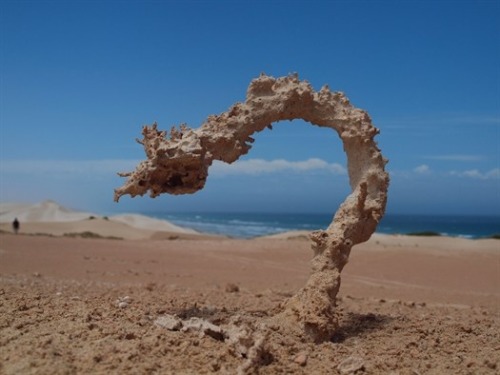 Fulgarite (sand that has been struck by lightning) porn pictures