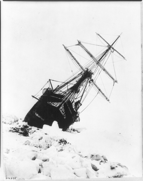 onceuponatown: The Endurance, fatally stuck in drifting ice for 3 months until she finally sank into