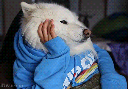 ☆DOGFLUID☆