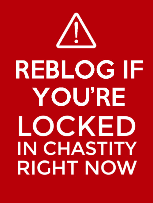 sofllocked: 30+ days. Today marks 2 months straight of chastity, before i had to stop a couple time