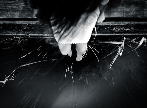 itscolossal:  Benoit Courti