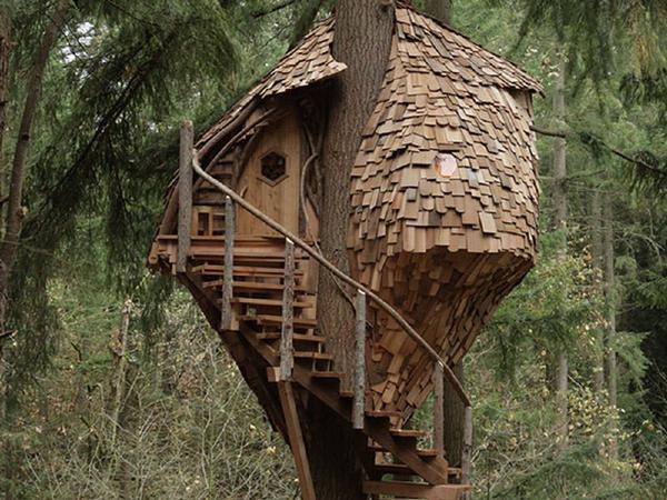 voiceofnature:  The beehive treehouse