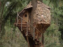 voiceofnature:  The beehive treehouse